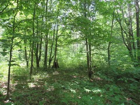 Vl E 16 Road, Manton, MI 49663 photo 27