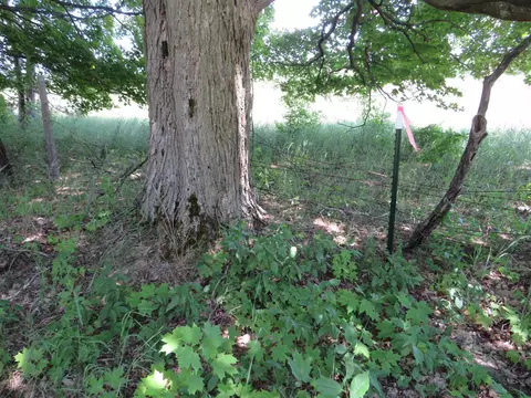 Vl E 16 Road, Manton, MI 49663 photo 26