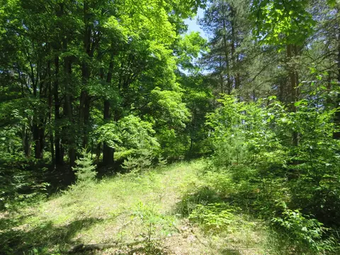 Vl E 16 Road, Manton, MI 49663 photo 12