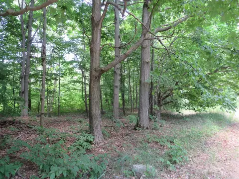 Vl E 16 Road, Manton, MI 49663 photo 21