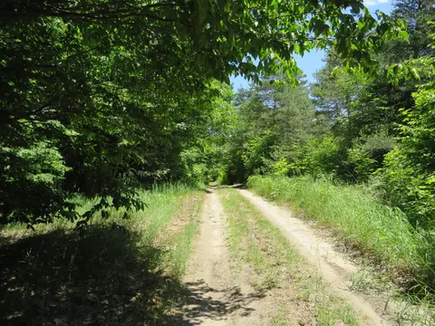 Vl E 16 Road, Manton, MI 49663 photo 20