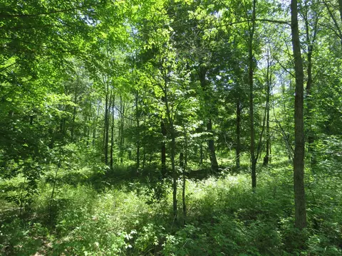 Vl E 16 Road, Manton, MI 49663 photo 17