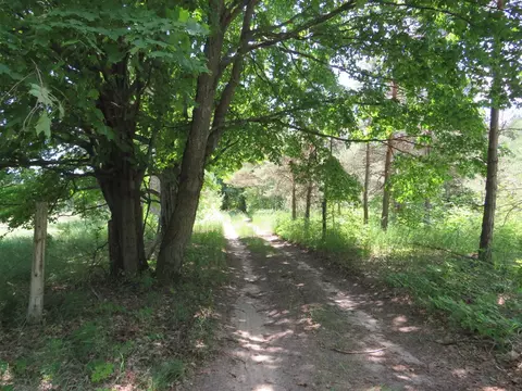 Vl E 16 Road, Manton, MI 49663 photo 25