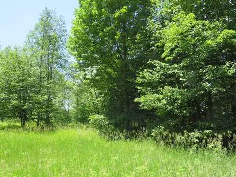 Vl E 16 Road, Manton, MI 49663 photo 18