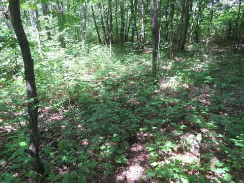 Vl E 16 Road, Manton, MI 49663 photo 29