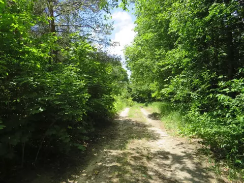 Vl E 16 Road, Manton, MI 49663 photo 22