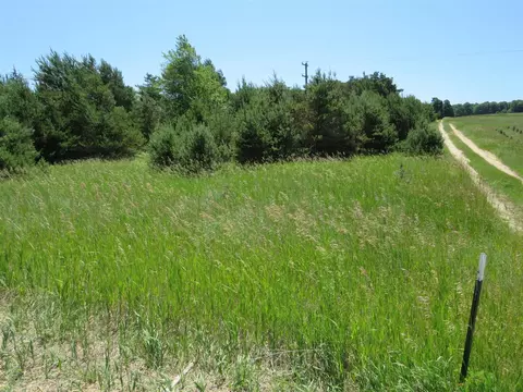 Vl E 16 Road, Manton, MI 49663 photo 3
