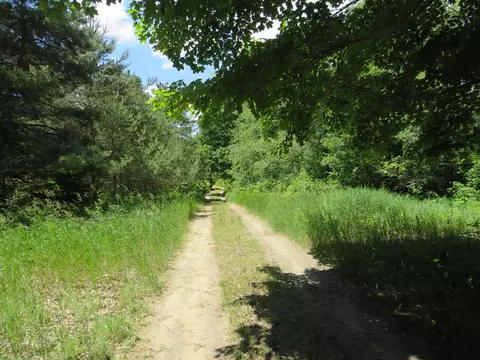Vl E 16 Road, Manton, MI 49663 photo 24