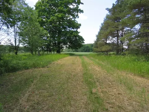 Vl E 16 Road, Manton, MI 49663 photo 16