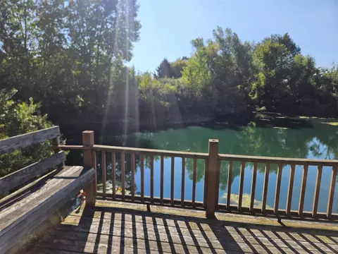 4418 Mast, Dexter, MI 48130 photo 51