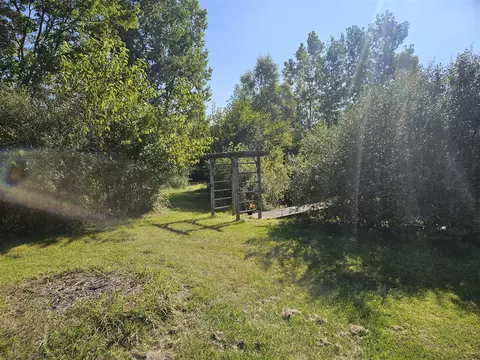 4418 Mast, Dexter, MI 48130 photo 63
