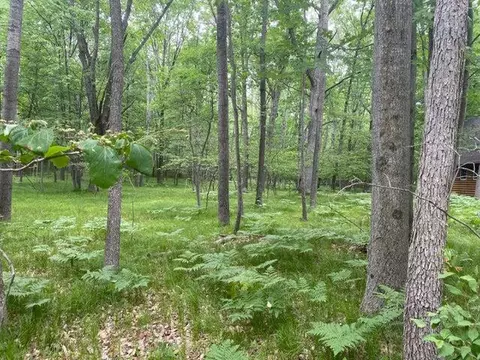12060 Chinook #408, Canadian Lakes, MI 49346