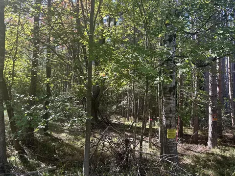 6195 110th, Stanwood, MI 49346