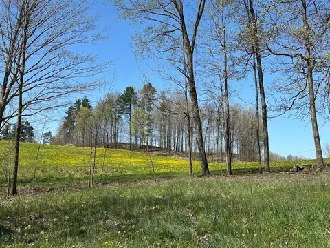 56797 M-40, Marcellus, MI 49067 photo 9