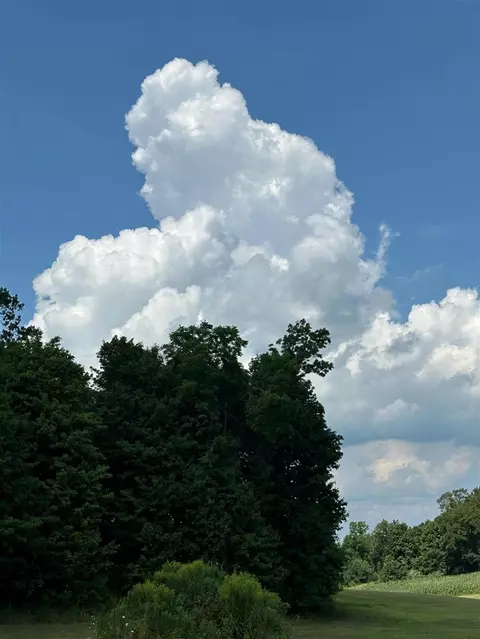 56797 M-40, Marcellus, MI 49067 photo 21