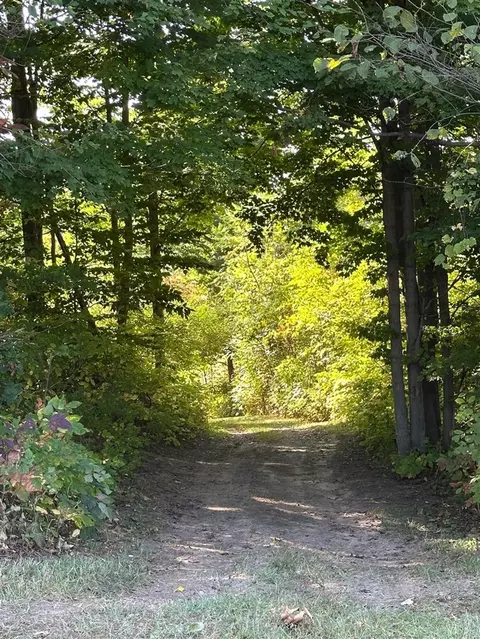 56797 M-40, Marcellus, MI 49067 photo 47