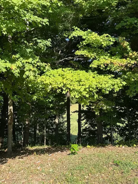 56797 M-40, Marcellus, MI 49067 photo 39