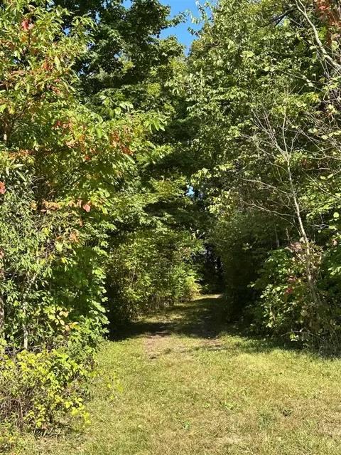 56797 M-40, Marcellus, MI 49067 photo 41