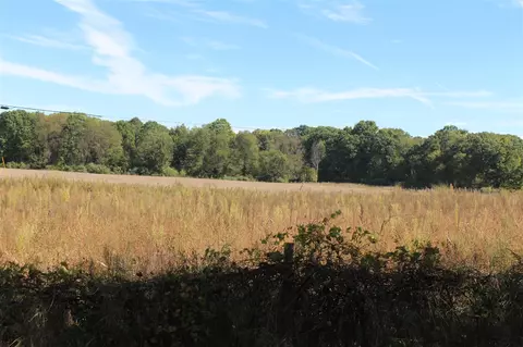 000 Burtch Parcel 2, Grass Lake, MI 49240