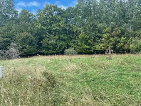Opal Ridge, Onekama, MI 49675 photo 6