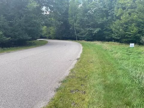 Opal Ridge, Onekama, MI 49675 photo 3