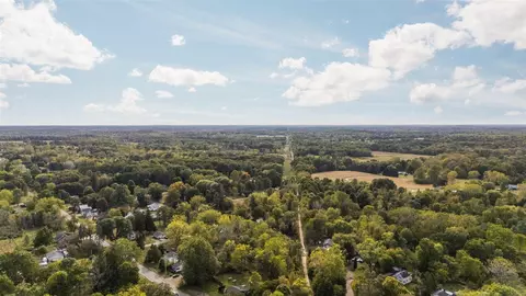 View/Area - 223 N Main, Munith, MI 49259 photo 5 of 7