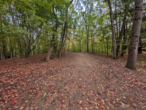 V/L E Kissing Oaks #164, Custer, MI 49405