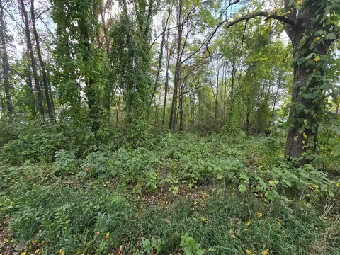 W Guernsey Lake, Delton, MI 49046