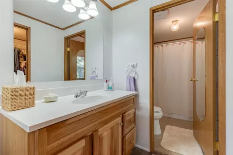 317 Cadgewith E, Lansing, MI 48906 photo 19
