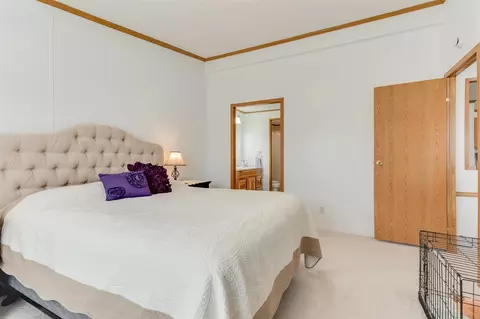 317 Cadgewith E, Lansing, MI 48906 photo 16