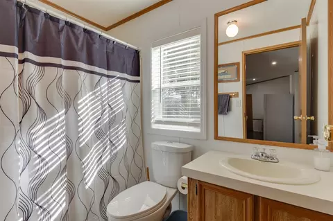 317 Cadgewith E, Lansing, MI 48906 photo 15