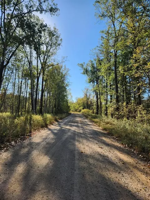 Other - 5359 Tilmann, Weidman, MI 48893 photo 3 of 3