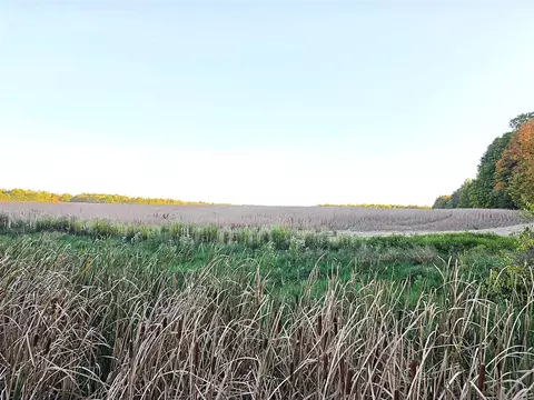 Wildt, Bellevue, MI 49021