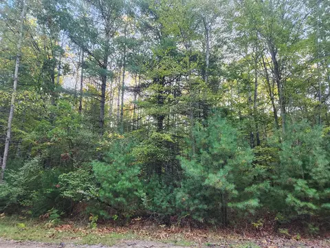 6842 White Pne, Canadian Lakes, MI 49346