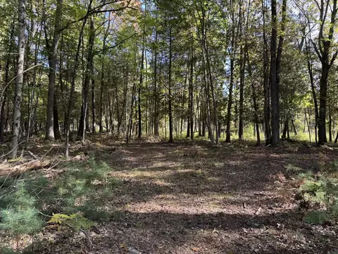 9253 E Decker, Branch, MI 49402 photo 10