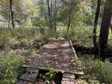9253 E Decker, Branch, MI 49402 photo 6
