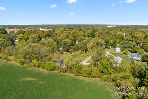 View/Area - 296 St Johns, Freeport, MI 49325 photo 4 of 8