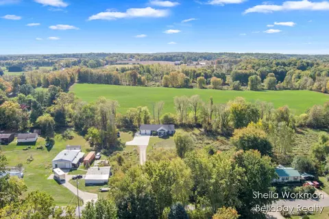 View/Area - 296 St Johns, Freeport, MI 49325 photo 8 of 8