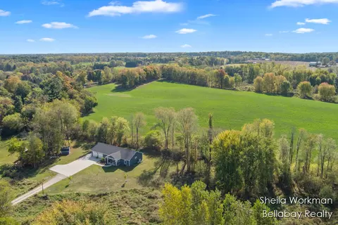 View/Area - 296 St Johns, Freeport, MI 49325 photo 7 of 8