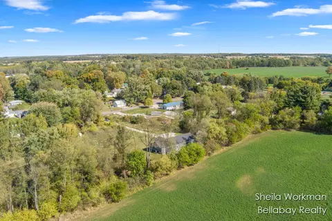 View/Area - 296 St Johns, Freeport, MI 49325 photo 6 of 8