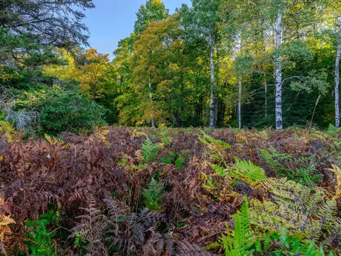 lot1 E 22 Mile Rd, Pickford, MI 49774
