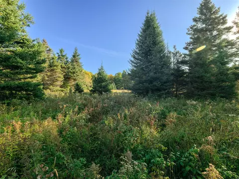 lot2 E 22 Mile Rd, Pickford, MI 49774