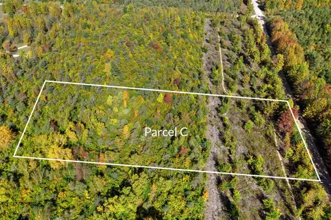 Parcel C S Weldon, Beulah, MI 49617