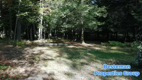 4175 Beech Ave, Newaygo, MI 49337 photo 12