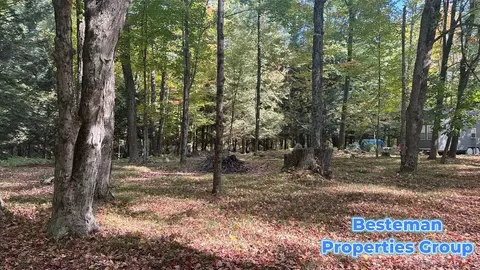4175 Beech Ave, Newaygo, MI 49337 photo 7