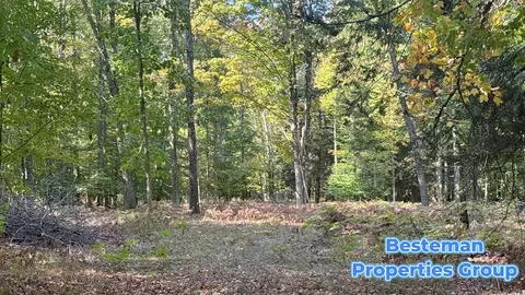 4175 Beech Ave, Newaygo, MI 49337 photo 11