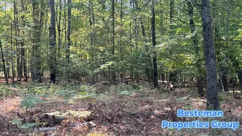 4175 Beech Ave, Newaygo, MI 49337 photo 9