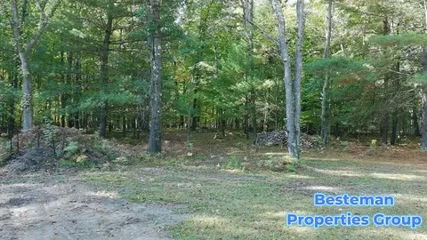 4175 Beech Ave, Newaygo, MI 49337 photo 5