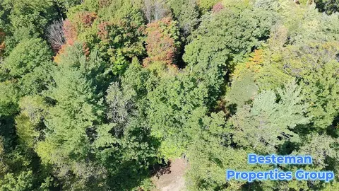 4175 Beech Ave, Newaygo, MI 49337 photo 6