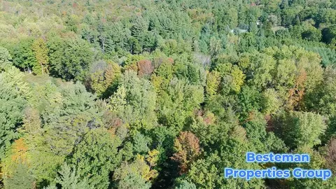 4175 Beech Ave, Newaygo, MI 49337 photo 13